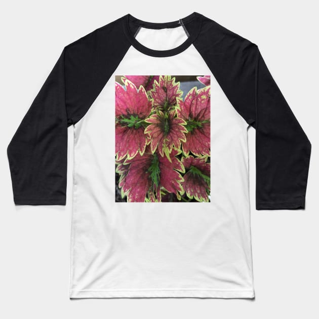 pink and red leaves Baseball T-Shirt by likbatonboot